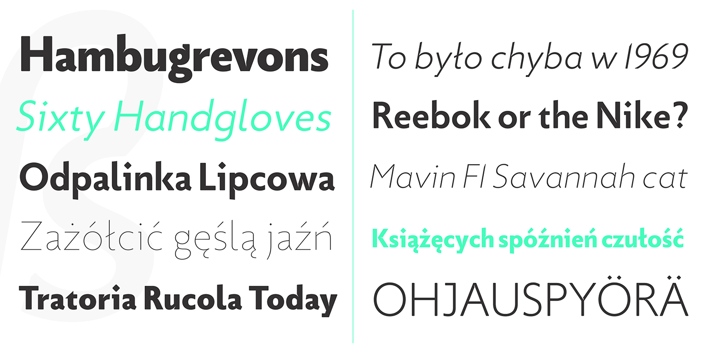 Picadilly Heavy italic Font preview